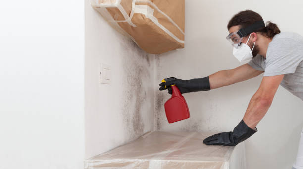 Professional Black Mold Removal technician working in Franklin, MI