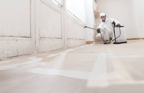 24/7 Emergency Black Mold Removal experts in Franklin, MI